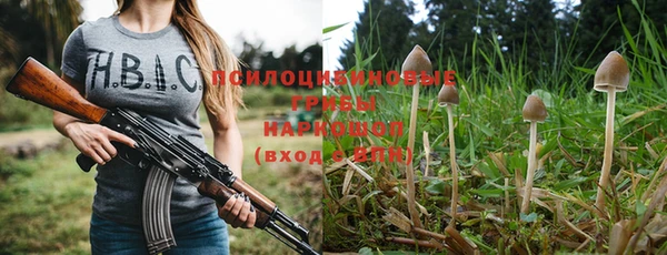 соль ск Горно-Алтайск