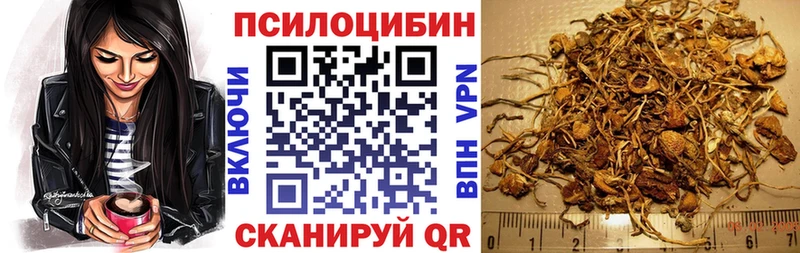 Купить  Сарапул  Галлюциногенные грибы Cubensis 